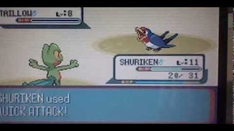 Pokemon Ruby Part 7-The route after Petalburg city and Petalburg forest part 1