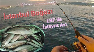 BOĞAZ'DA İSTAVRİT AVI - Ultra Hafif Takım ile Balık Avı