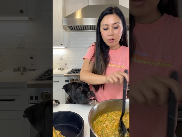 Making Homemade Dog Food for Cooper | MyHealthyDish