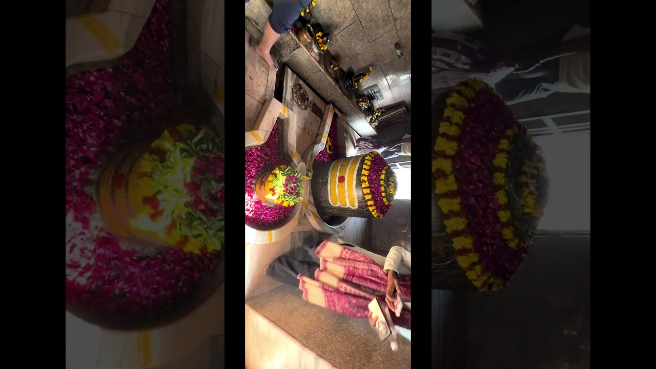 BEST DAY IN VARANASI 😍🙏 Har Har Mahadev 🙏 DAY 3 Vlog Glimpse ❤