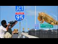 Iguana Removal Job!! Eradicating Iguanas off Florida’s Highway I95!!