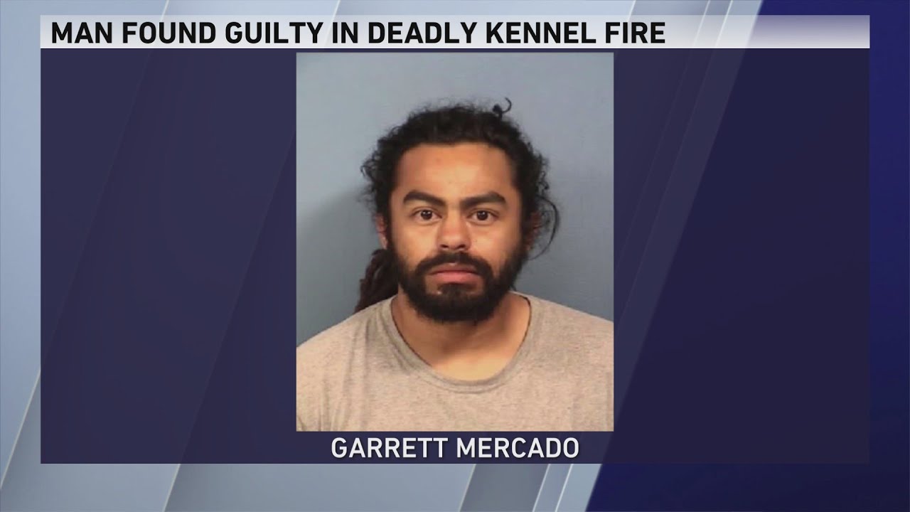 Man found guilty in suburban kennel fire that killed 29 dogs