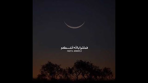القرآن الكريم سبحان الله وبحمده