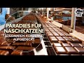 PARADIES FÜR NASCHKATZEN: Deutsche Süßwaren-Konzerne produzieren auf Rekordniveau! | FOOD DOKU Mp3 Song