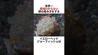 キッズルームは口の中