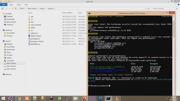 How to build and host Vue.js project