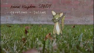 Juliet by Cavetown | Animal Kingdom