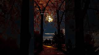 Pathukulle Number-Vasool Raja Kamal Haasan Sneha Shortvideo Trending