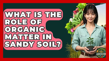 What Is The Role Of Organic Matter In Sandy Soil? - The World of Agriculture