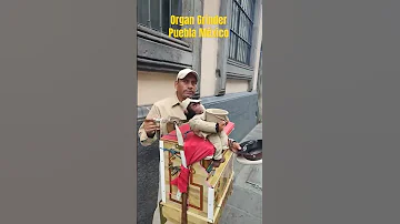 Street Organ Grinder Of Zócalo Puebla Mexico 