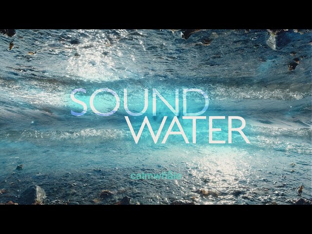 Sound Water - Nourishing Breeze of Tranquility : Grounding Shaman Drum  : Calm Whale class=