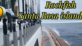 Rockfishing in Santa Rosa islands 05/16/2024.