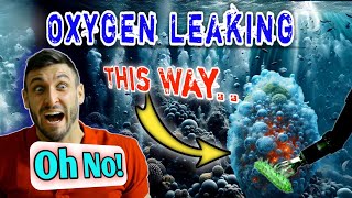 Celebrity How Produced Mysterious "DARK OXYGEN" | Dark Oxygen Phenomena Explained | DARK OXYGEN Wealth