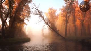 Annie Drury - River Flows