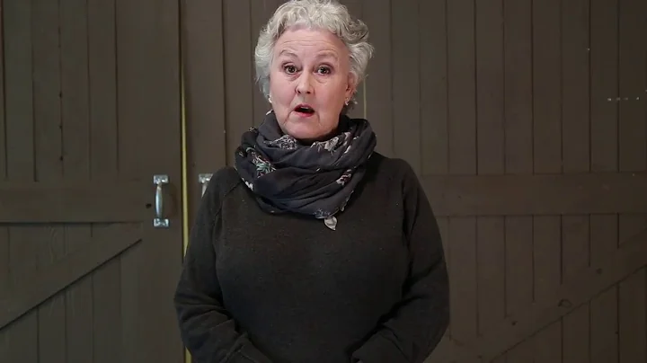 Jane Carr's Insult Challenge