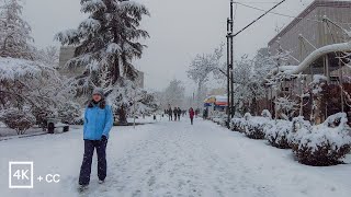 Snowy Day in TEHRAN 2023 (4k) - Vanak to Ferdows Garden | پیاده‌روی در خیابان ولیعصر