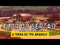 História de Flor do Sertão/SC