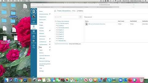 Creating and organizing Files and Pages on Canvas