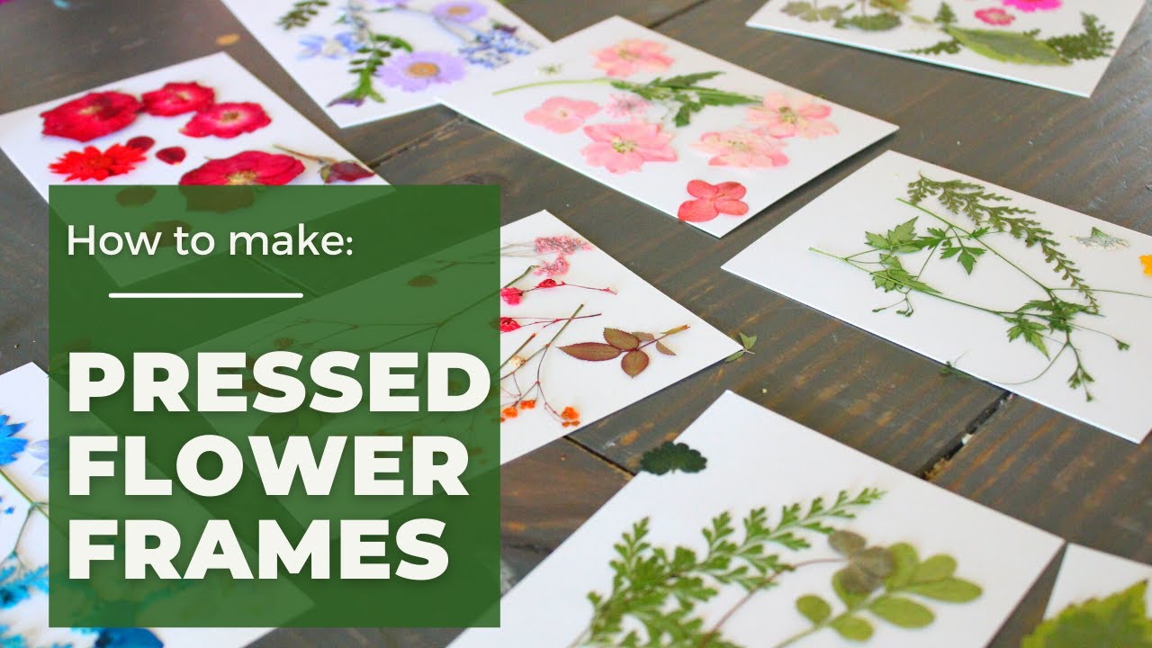 How to Make Your Own Pressed Flower Frames – New England Parisienne