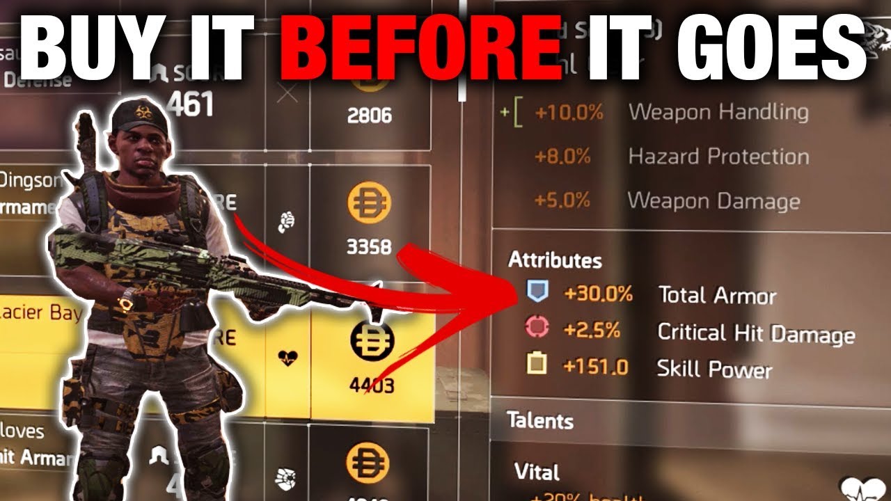 THE DIVISION 2 BUY THIS GOD ROLL CHEST PIECE 30 TOTAL ARMOUR