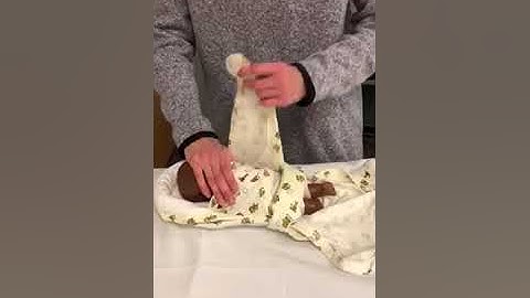 NICU Dandleroo 2 Prone Positioning