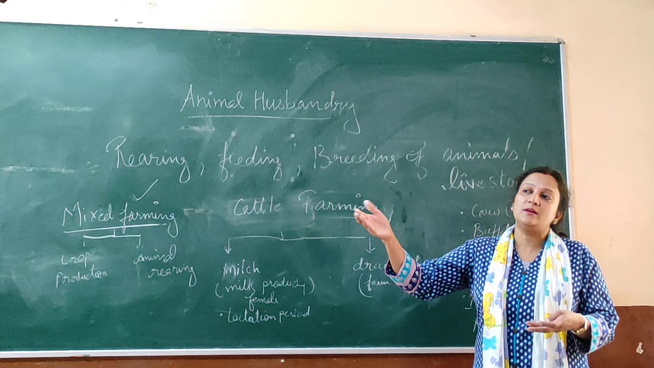 Class 9: Animal Husbandry (Cattle Farming)