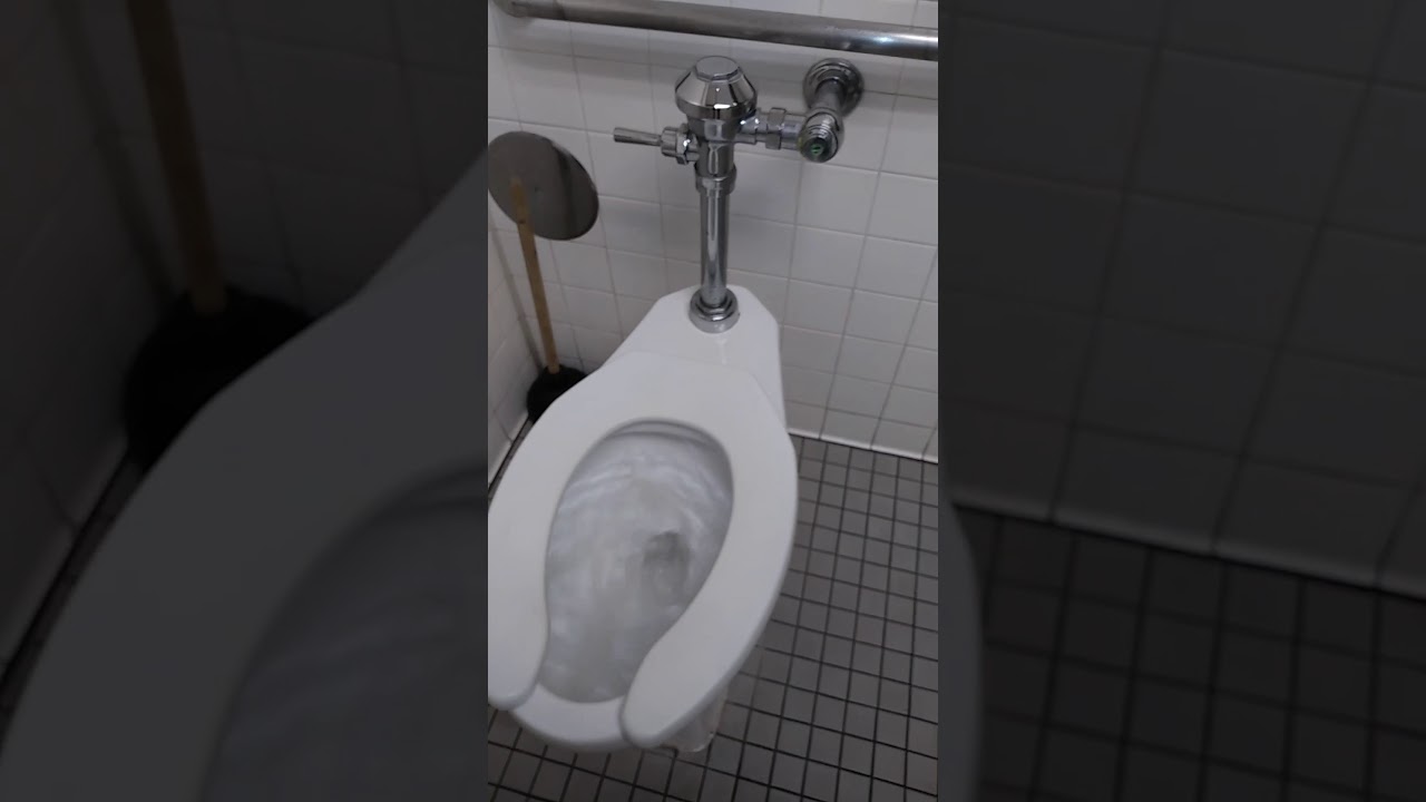 Unknown toilets at Toys 'R' Us in West Melbourne, FL YouTube