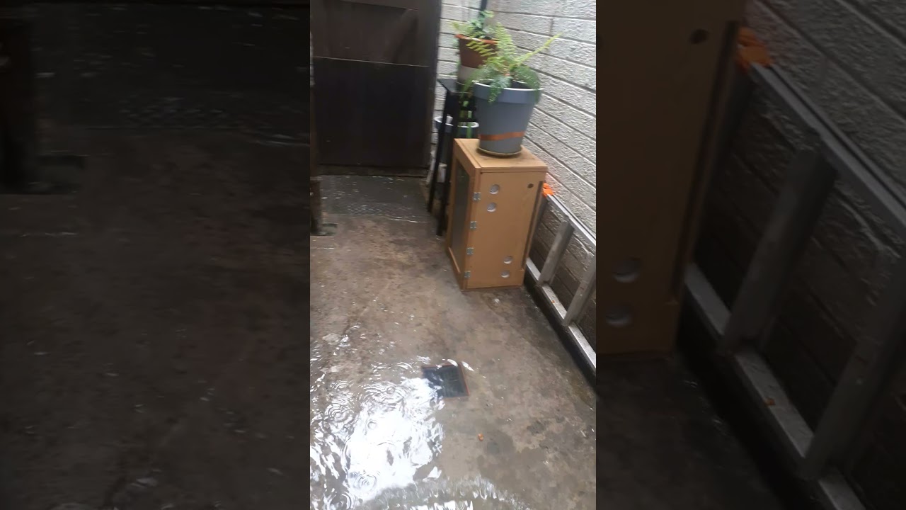 Flooding in my backyard after public sewer repairs on my street 