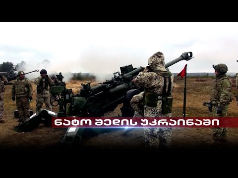 NATO შედის უკრაინაში | თენგო გოგოტიშვილის სიუჟეტი