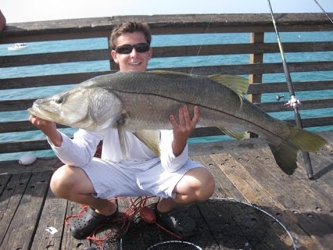 Best Rod and Reel Combos For Pier Snook Fishing! 