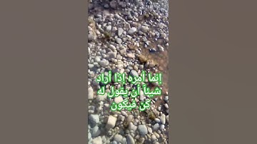 إنما أمره إذا أراد شيئاً أن يقول له كن فيكون #explore #quran #القرآن_الكريم#سورة_يس #قرآن #قران_كريم