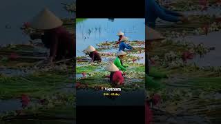 Top 6 Destination #Globetrotter2026, #HiddenGemTravel, #BucketListDestinations #Shorts