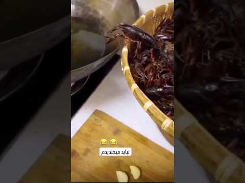 ختم چالش مستی قشنگه خدا لعنتشون کنه زنده زنده حیوان رو سرخ میکنن 