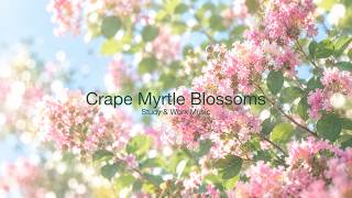 Crape Myrtle Blossoms 🌸💕☀️ Soft Waltz Piano & Flute | Healing BGM for Studying, Working & Relaxing screenshot 1