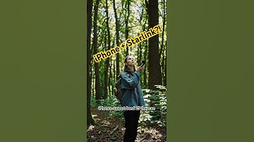 Why Did Apple Add Starlink to the iPhone?!