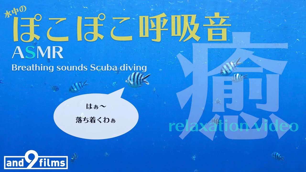 リラックス用【癒しの自然音 BGM ASMR】1時間！ 水中の呼吸音 沖縄の水中映像 /【Relaxation BGM】Breathing