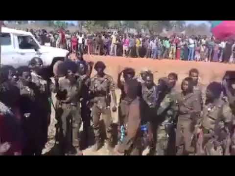 WBO N Gumaa Jaallan Wareegamanii Attamiin Akka Baasan Yeroo Dhaadatan