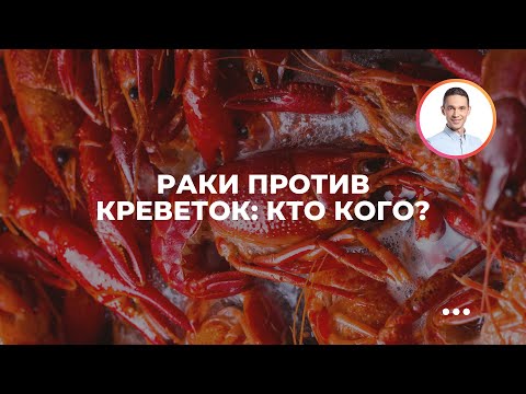 Раки против креветок: кто кого?