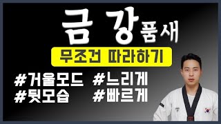 🇰🇷 태권도 금강 품새 거울 모드 뒷모습 / 집에서배우는태권도