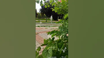 هم وغم حيرة وتوجع 