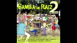 Samba De Raiz  - Malandro / Malandro Também Chora