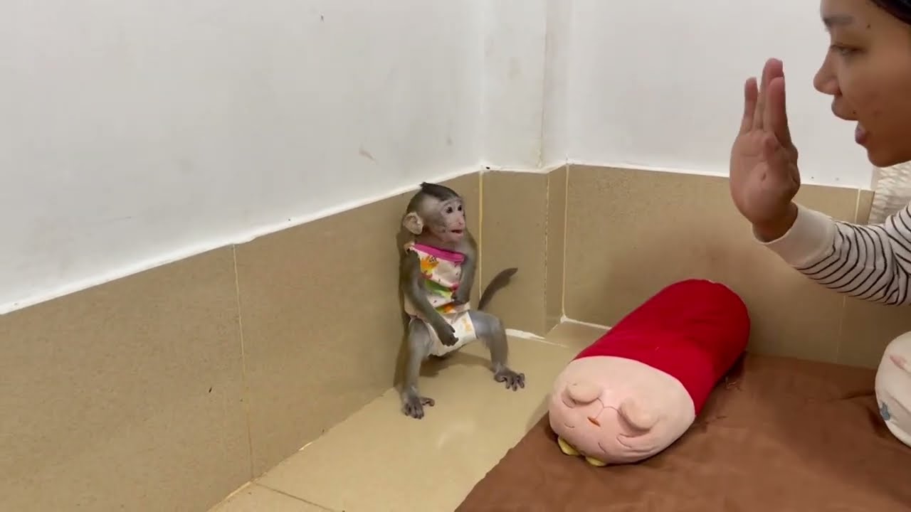 koy stay at the wall & so0rrii mom at all her mizztake