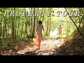 4 Minutes of relaxation| Take a nature walk with us on our Tennessee property