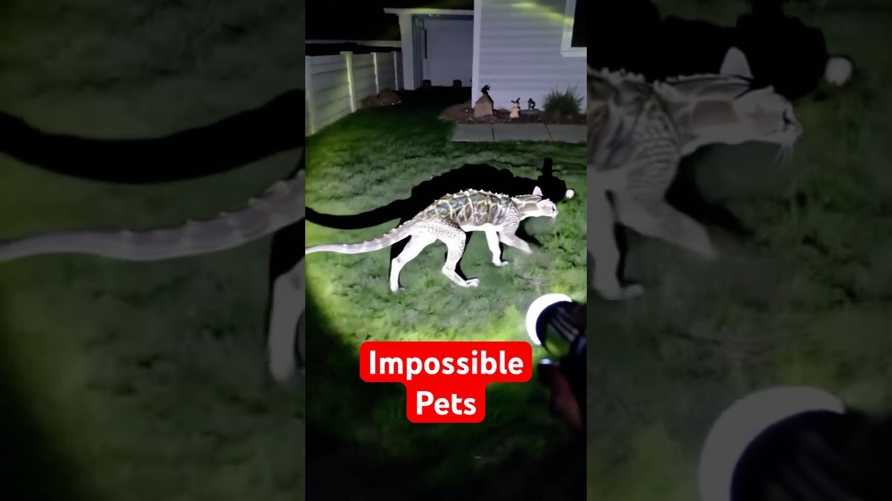 Дикие животные, которые НИКОГДА не станут домашними животными!