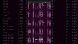 El comando ps en Linux que todo sysadmin debe conocer #shorts