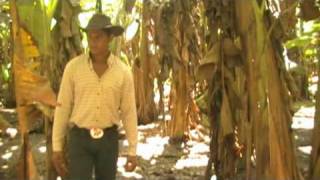 Alexis Lopez No Pega Una - C Jlaya