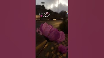 القرآن الكريم ❤️استغفر الله واتوب إليه❤️