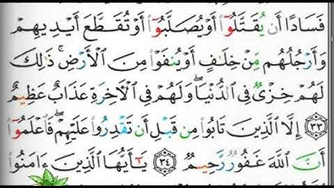 مصحف التجويد صفحة 113 ابراهيم الأخضر 🕋