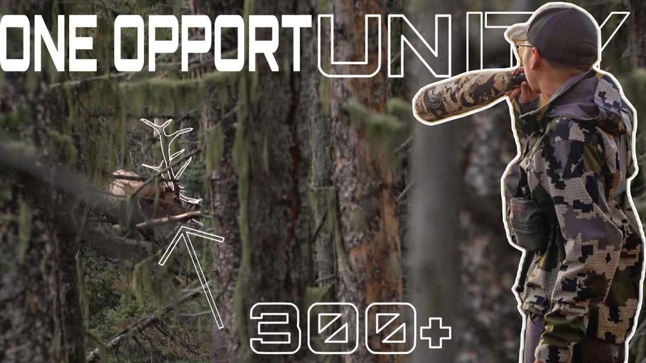 2025 NEW MEXICO ARCHERY ELK HUNT | THE FULL EXPERIENCE | LEVI'S HUNT | 4K FILM