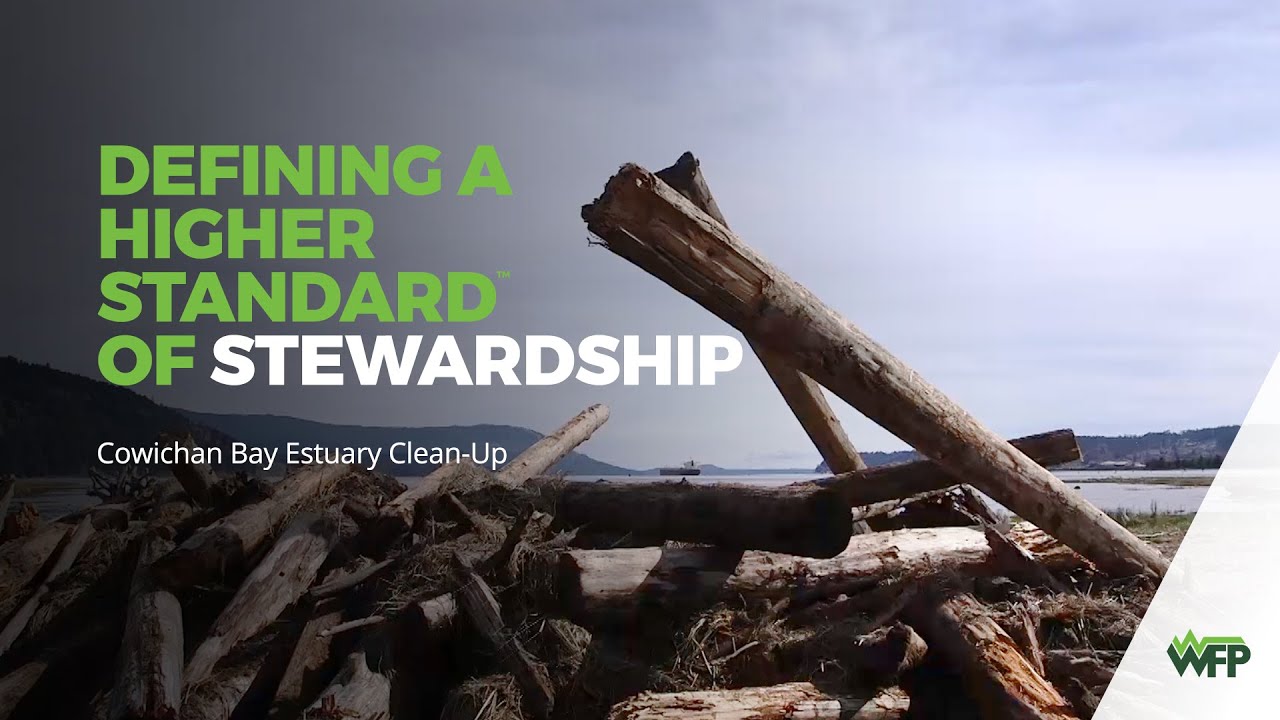 Cowichan Bay Estuary Cleanup YouTube